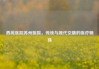 西苑医院苏州医院，传统与现代交融的医疗明珠