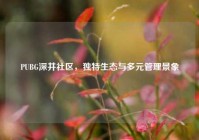 PUBG深井社区，独特生态与多元管理景象