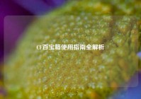 CF百宝箱使用指南全解析