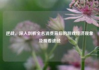 逆战，深入剖析全名消费背后的游戏经济现象及观看途径