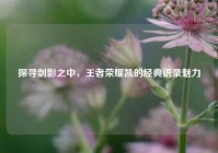 探寻剑影之中，王者荣耀凯的经典语录魅力