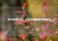 孕妇保健咨询，开启孕期健康护航通道