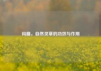 钩藤，自然灵草的功效与作用