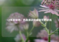 CF手游绿地，热血激战的最新荒野战场