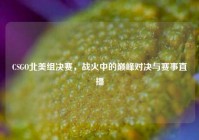 CSGO北美组决赛，战火中的巅峰对决与赛事直播