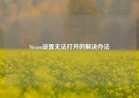 Steam设置无法打开的解决办法