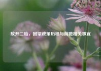 放开二胎，回望政策历程与前瞻相关事宜
