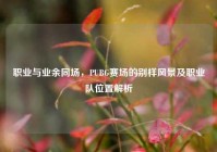 职业与业余同场，PUBG赛场的别样风景及职业队位置解析