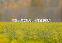 寻觅LOL固定队友，共赏皮肤魅力