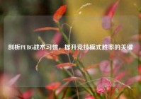 剖析PUBG战术习惯，提升竞技模式胜率的关键