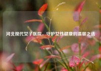 河北现代女子医院，守护女性健康的温馨之选
