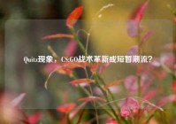 Quitz现象，CS:GO战术革新或短暂潮流？