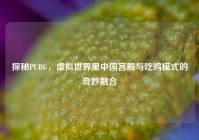 探秘PUBG，虚拟世界里中国宫殿与吃鸡模式的奇妙融合
