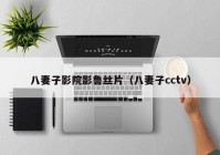 八妻子影院影鲁丝片（八妻子cctv）