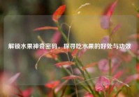 解锁水果神奇密码，探寻吃水果的好处与功效