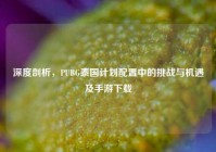 深度剖析，PUBG泰国计划配置中的挑战与机遇及手游下载