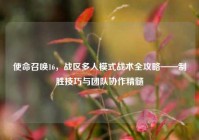 使命召唤16，战区多人模式战术全攻略——制胜技巧与团队协作精髓