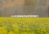 CSGO中神秘角色波的独特魅力