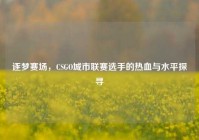 逐梦赛场，CSGO城市联赛选手的热血与水平探寻