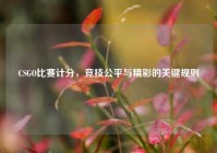 CSGO比赛计分，竞技公平与精彩的关键规则