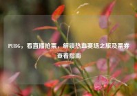 PUBG，看直播抢票，解锁热血赛场之旅及票券查看指南