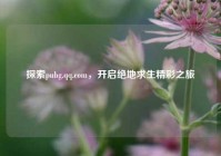 探索pubg.qq.com，开启绝地求生精彩之旅