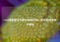 CSGO待机指令与停止时间代码，优化游戏体验小秘诀