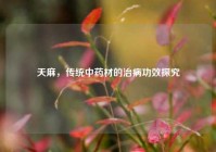 天麻，传统中药材的治病功效探究