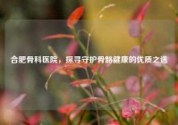 合肥骨科医院，探寻守护骨骼健康的优质之选