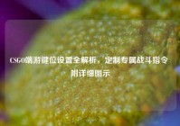 CSGO端游键位设置全解析，定制专属战斗指令 附详细图示