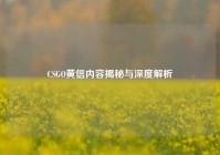 CSGO黄信内容揭秘与深度解析