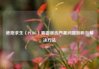 绝地求生（PUBG）画面锯齿严重问题剖析与解决     
