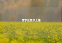 尽享三国杀之乐