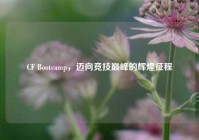 CF Bootcamp，迈向竞技巅峰的辉煌征程
