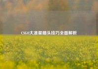 CSGO大准星瞄头技巧全面解析