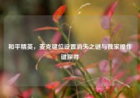 和平精英，麦克键位设置消失之谜与独家操作键探寻