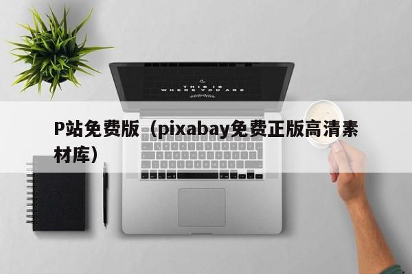 P站免费版(pixabay免费正版高清素材库)