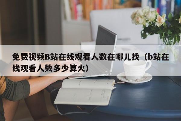 免费视频B站在线观看人数在哪儿找(b站在线观看人数多少算火)