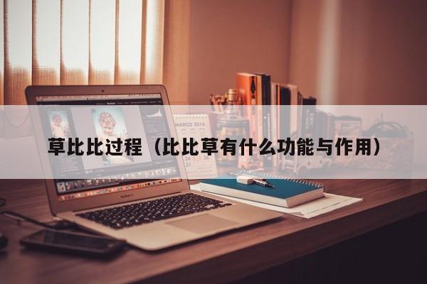 草比比过程(比比草有什么功能与作用)