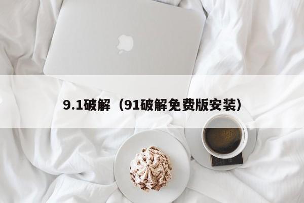 9.1破解(91破解免费版安装)