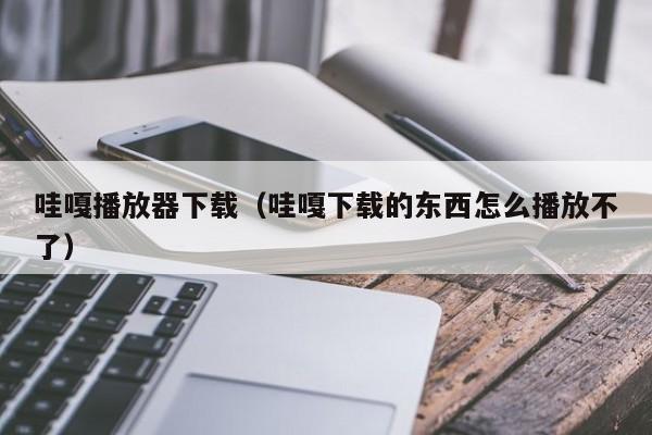 哇嘎播放器下载(哇嘎下载的东西怎么播放不了)