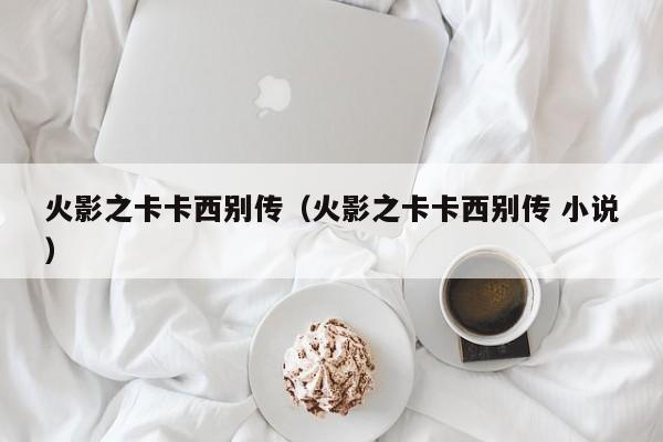 火影之卡卡西别传(火影之卡卡西别传 小说)