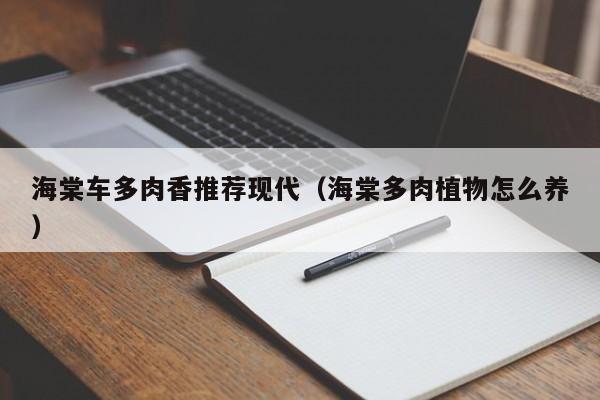 海棠车多肉香推荐现代(海棠多肉植物怎么养)