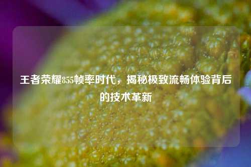 王者荣耀855帧率时代,揭秘极致流畅体验背后的技术革新