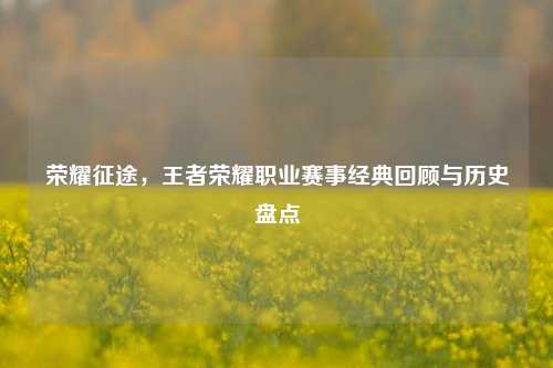 荣耀征途,王者荣耀职业赛事经典回顾与历史盘点
