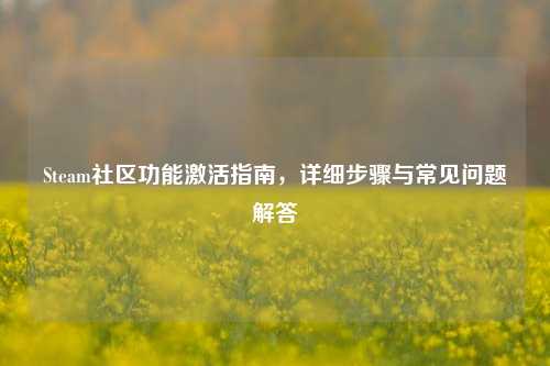 Steam社区功能激活指南,详细步骤与常见问题解答