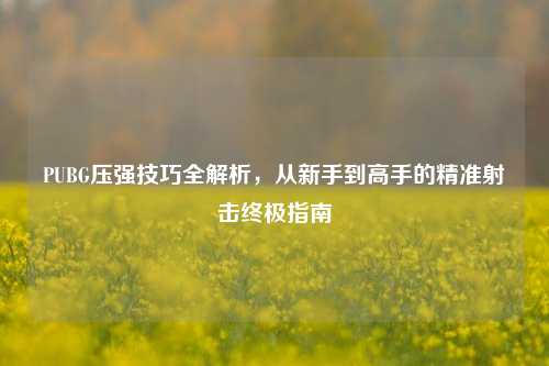 PUBG压强技巧全解析,从新手到高手的精准射击终极指南