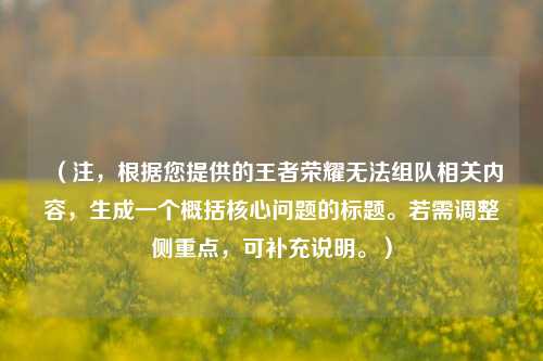 (注,根据您提供的王者荣耀无法组队相关内容,生成一个概括核心问题的标题。若需调整侧重点,可补充说明。)