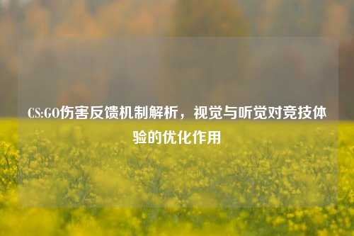 CS:GO伤害反馈机制解析,视觉与听觉对竞技体验的优化作用