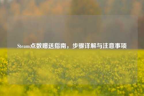 Steam点数赠送指南,步骤详解与注意事项
